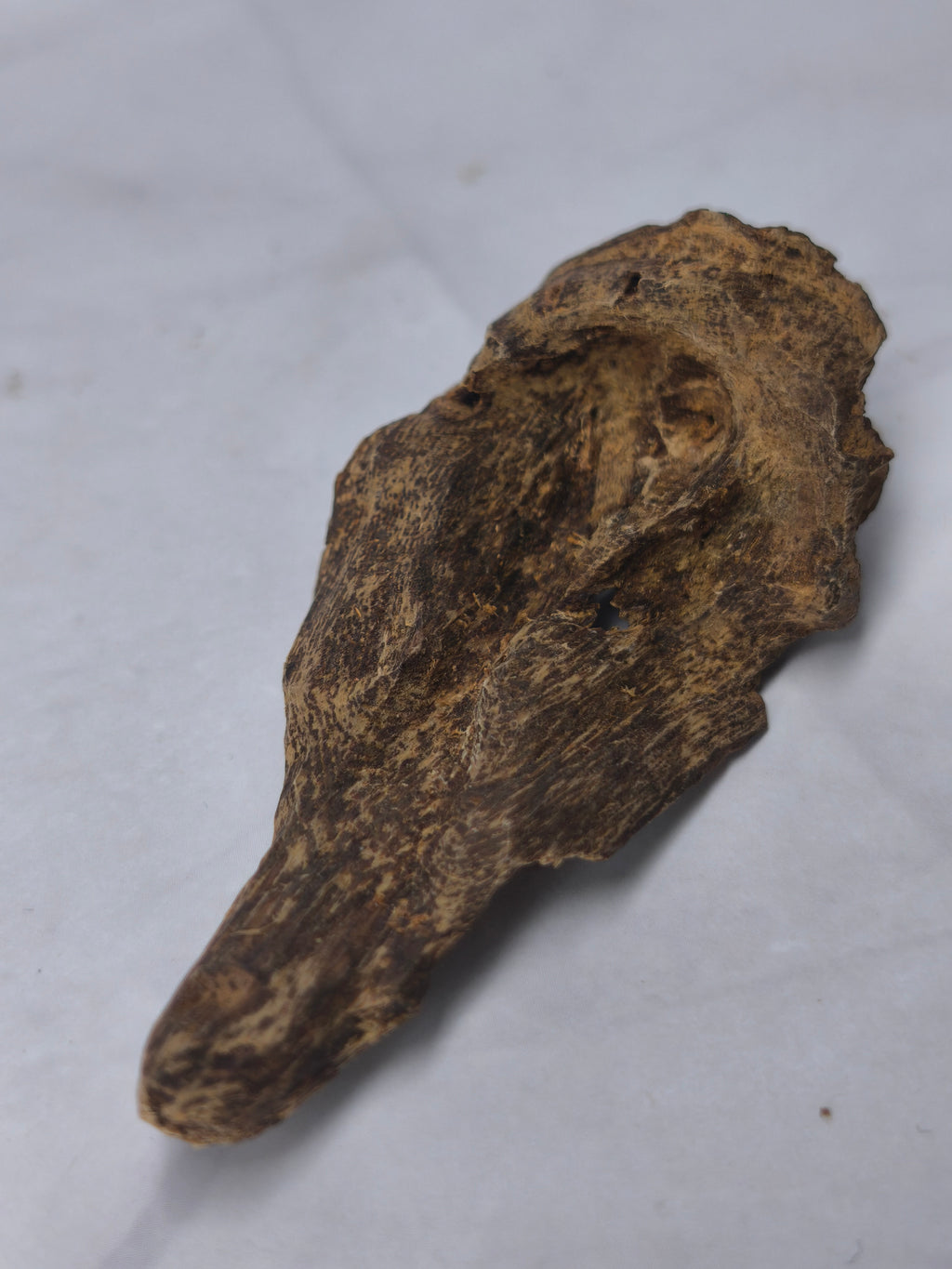 Wild Sinking Terengganu