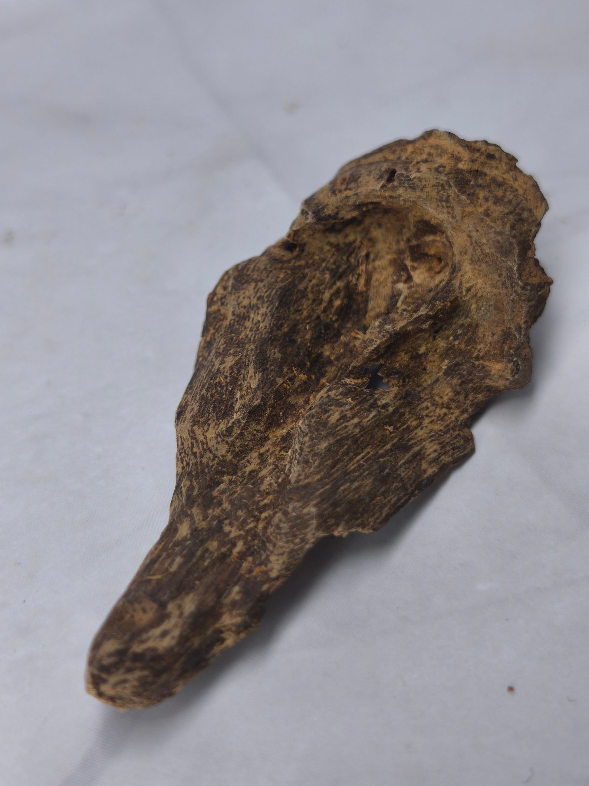 Wild Sinking Terengganu