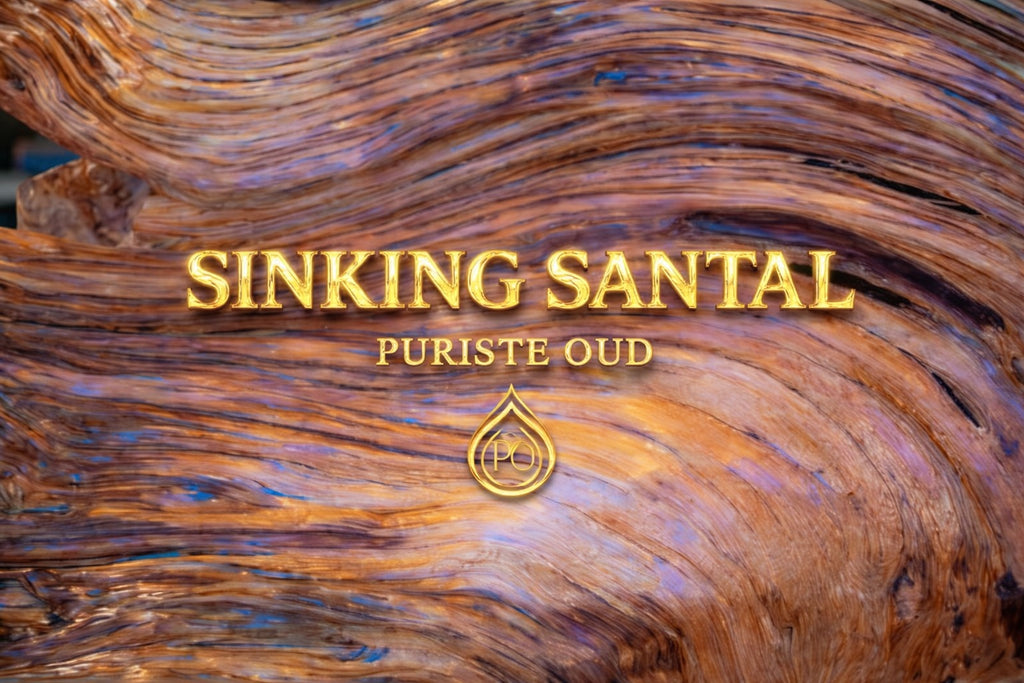 SINKING SANTAL